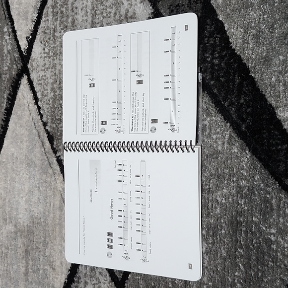 FIRSTACT LEARN & PLAY HARMONICA INSTRUCTIONS BOOK & PLAY-ALONG CD - Picture 6 of 9